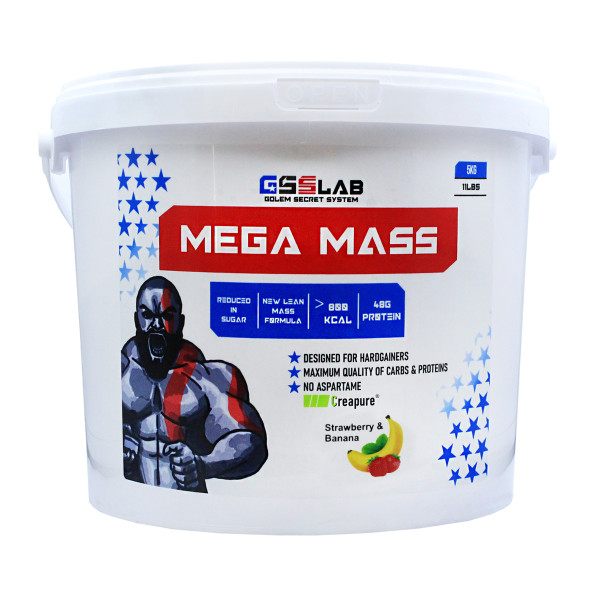Гейнер высокоуглеводный Gss Lab Mega mass 50 порций 5000 г #2