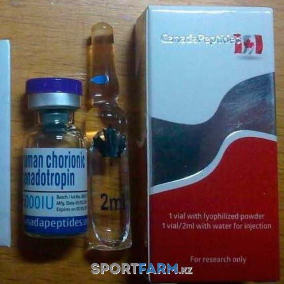 Гонадотропин Canada Peptides Gonadotropin (1 ампула) 5000 Ед Гонадотропин Canada Peptides Gonadotropin (1 ампула) 5000 Ед