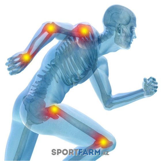 Пептиды для укрепления суставов и связок и выносливости Пептиды для укрепления суставов и связок и выносливости