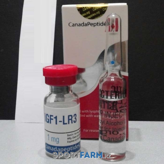 Пептид IGF-1 LR3 Canada Peptides (1 флакон 1 мг) Пептид IGF-1 LR3 Canada Peptides (1 флакон 1 мг)