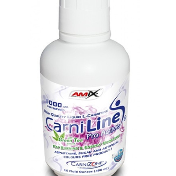 Жиросжигатель Amix CarniLine ProActive 480 мл #1