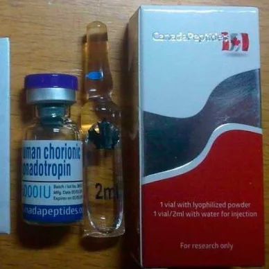 Гонадотропин Canada Peptides Gonadotropin (1 ампула) 5000 Ед #1