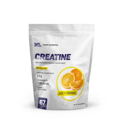 Креатин XL XL SPORT NUTRITION Creatine (340 г) #1