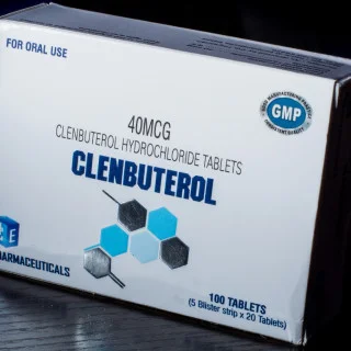 Кленбутерол Ice Pharma 100 таблеток (1 таб 40 мкг) #1