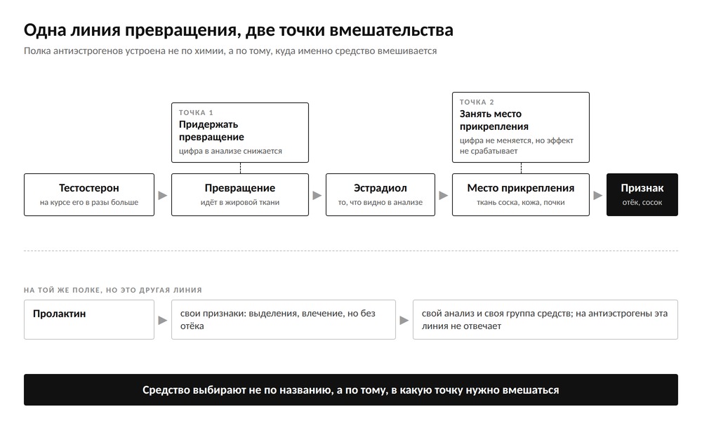 Схема: линия превращения тестостерона в эстрадиол с двумя точками вмешательства и отдельная параллельная линия пролактина