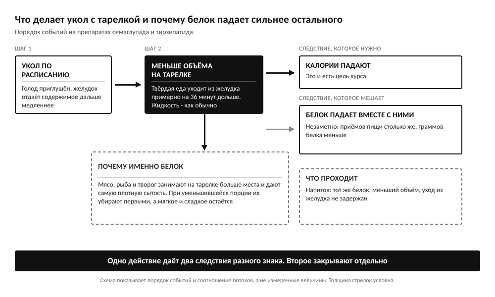 Схема: укол приглушает голод и придерживает содержимое желудка, отчего калории падают по плану, а белок падает вместе с ними незаметно