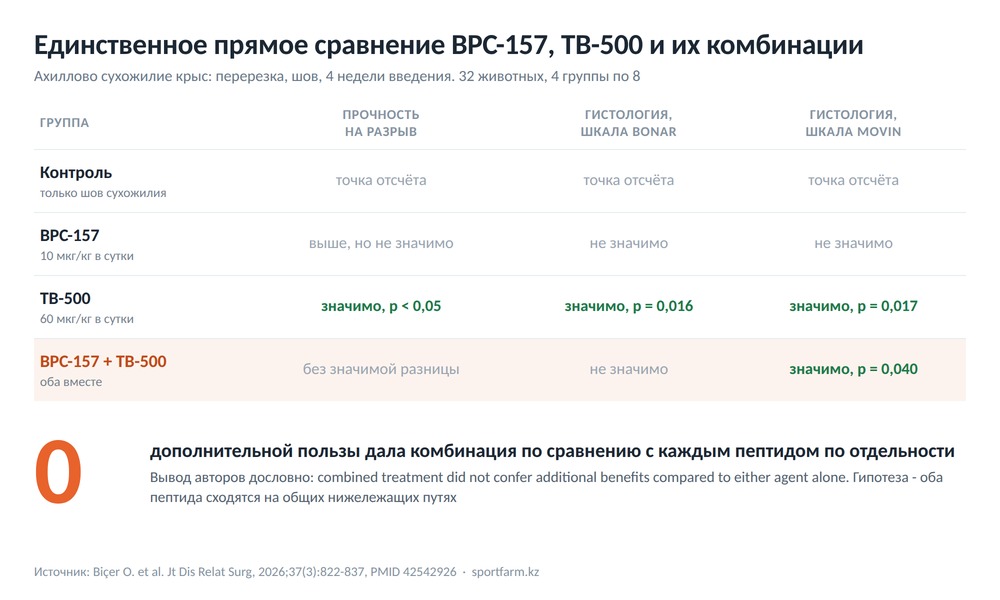 Диаграмма результатов сравнения четырёх групп крыс: контроль, BPC-157, TB-500 и комбинация, по трём показателям заживления сухожилия