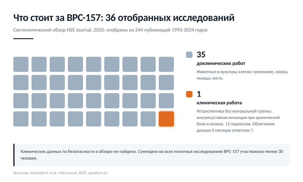 Соотношение исследований BPC-157 по опорно-двигательному аппарату: 35 доклинических работ и 1 клиническое наблюдение