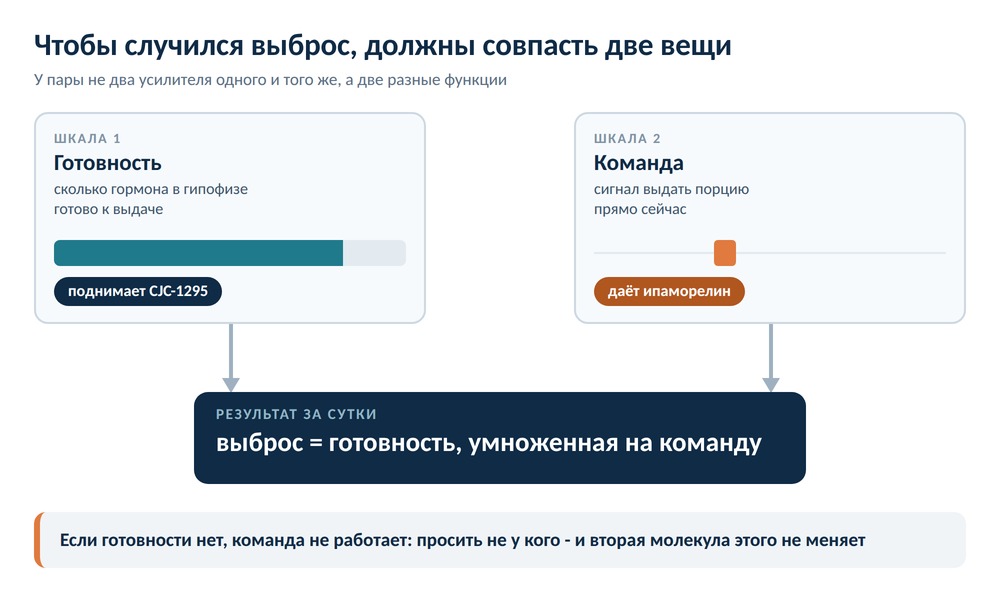Схема из двух шкал: готовность гипофиза, которую поднимает CJC-1295, и команда на выброс, которую даёт ипаморелин, и общее табло суточного выброса гормона роста