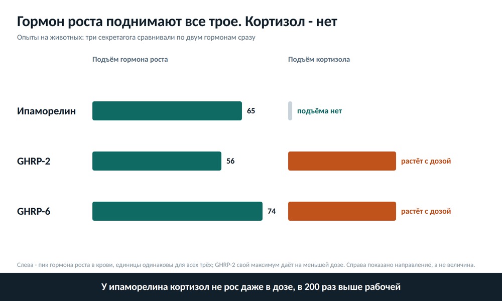 Диаграмма: гормон роста поднимают все три секретагога примерно одинаково, а кортизол растёт только у GHRP-2 и GHRP-6