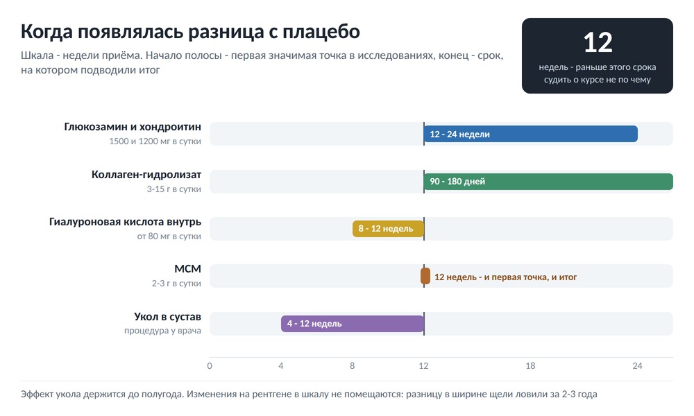 Диаграмма сроков: через сколько недель приёма появляется результат у каждой группы, от 8 до 24 недель