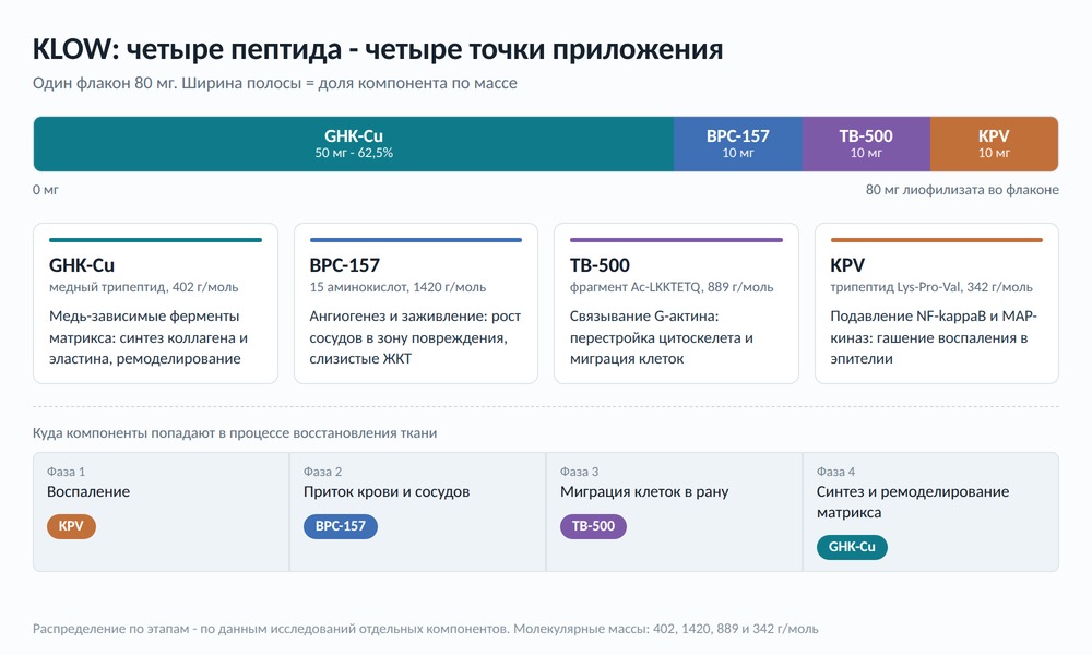 Схема: четыре пептида в составе KLOW и точки их приложения - гашение воспаления, ангиогенез, миграция клеток и синтез коллагена