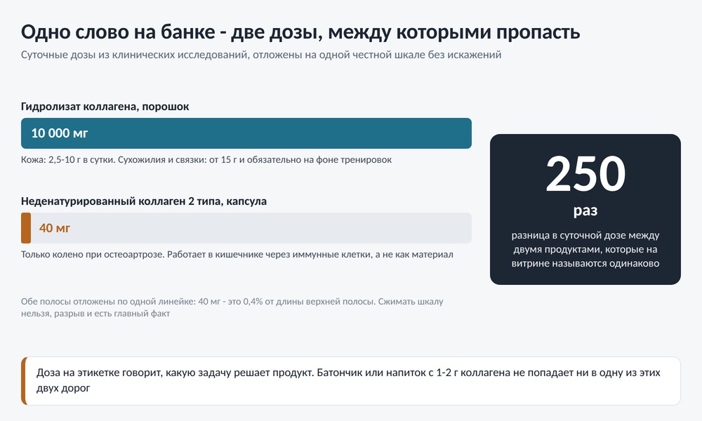 Диаграмма сравнения суточных доз: 10 граммов гидролизата коллагена против 40 миллиграммов UC-II, разница в 250 раз