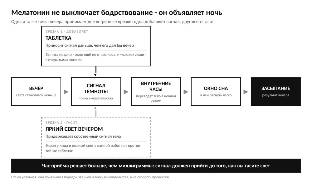Схема: таблетка добавляет сигнал темноты, а яркий свет вечером его гасит, дальше внутренние часы открывают окно сна