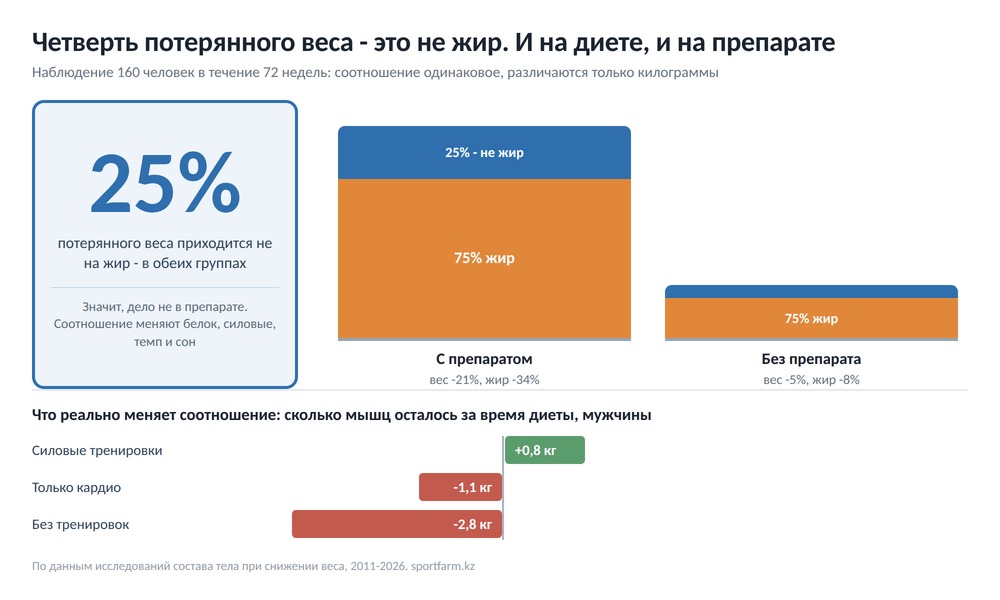 Диаграмма: четверть потерянного веса приходится не на жир и на препарате, и без него, а изменить это соотношение помогают силовые тренировки