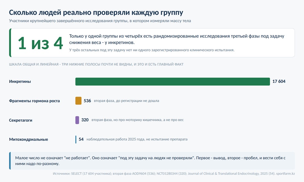 Диаграмма: только одна из четырёх групп пептидов для похудения имеет рандомизированные исследования третьей фазы, число участников по группам