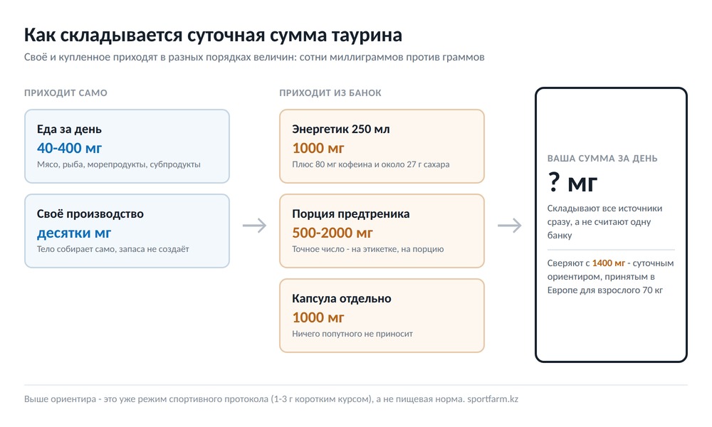 Схема: как складывается суточная сумма таурина из еды, собственного синтеза и купленных банок